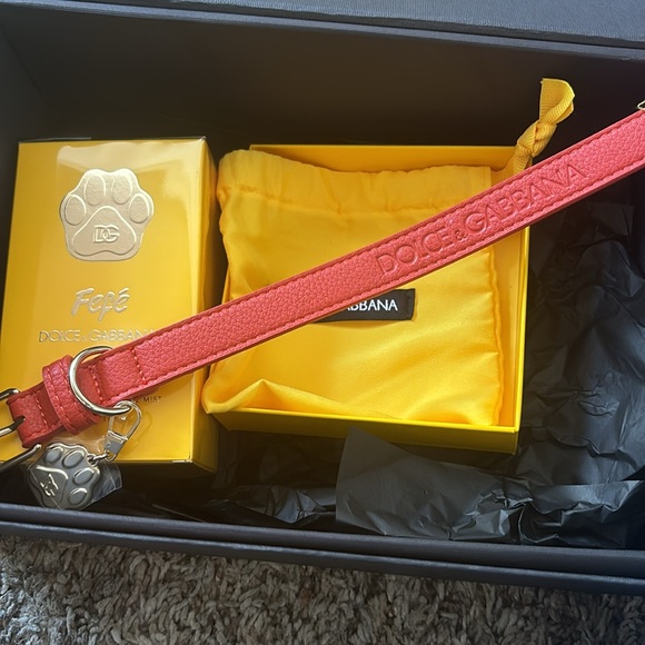 🔥 NEW LIMITED EDITON FÈFÈ DOLCE GABBANA M/L dog COLLAR AND FRAGRANCE - Picture 9 of 9